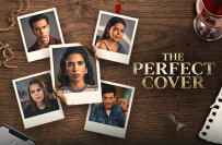 The Perfect Cover