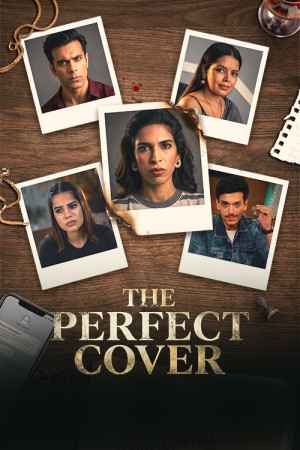 The Perfect Cover